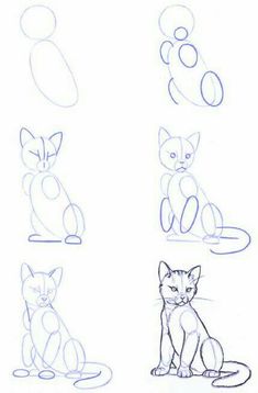 several different types of cats are shown in this drawing lesson for children to learn how to draw