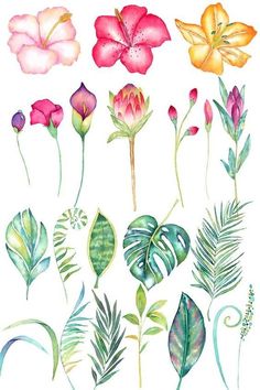 watercolor flowers and leaves are shown in different colors, including pinks, yellows, and green