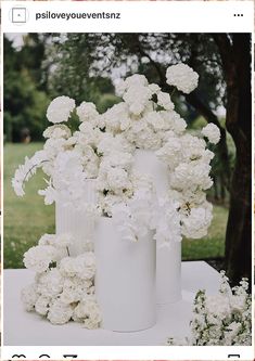 The Winter Wedding Arch: A Masterpiece of Winter Romance White Plinths Wedding, All White Modern Wedding, Winter Wedding Arch, Winter Wedding Accessories, Ceremony Florals, Monochrome Weddings, Wedding Reception Flowers, Wedding Reception Centerpieces