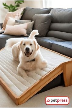 a large white dog laying on top of a bed in the middle of a living room