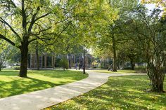 people walking through the park on a sunny day