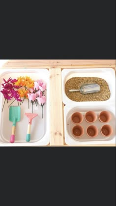 two trays filled with different types of flowers and gardening utensils next to each other