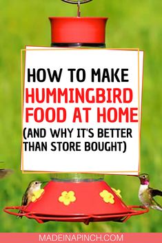 a sign that says how to make hummingbird food at home and why it's better than store bought