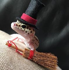 a lizard wearing a top hat and holding a broom on the back of a couch