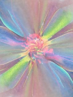 an image of a colorful flower that looks like it has been painted with pastel colors