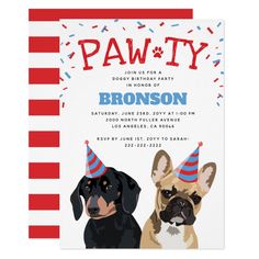 two dogs wearing party hats are in front of a red and white striped birthday card