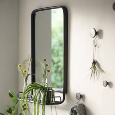 a mirror and some plants on a wall