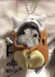 a hamster in a sweater with a banana on it's back hanging from a chain