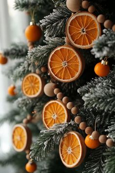 orange slices are hanging from the branches of a christmas tree