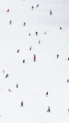 many people are skiing down a snowy hill