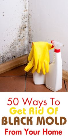 the words 50 ways to get rid of black mold from your home and how to use it