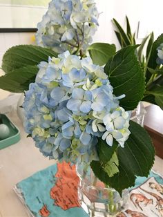 two vases filled with blue flowers on top of a table