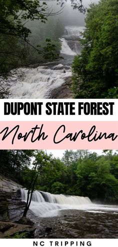 the north carolina waterfalls with text overlay that reads, dupont state forest north carolina