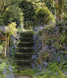 an outdoor garden with steps leading up to the trees and flowers on either side of the path