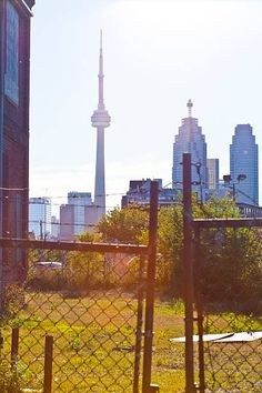 the city skyline as seen through a fenced in area with trees and grass on both sides