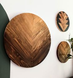 three wooden plates mounted on the wall next to a potted plant in a room