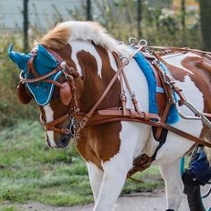 a brown and white horse pulling a blue carriage