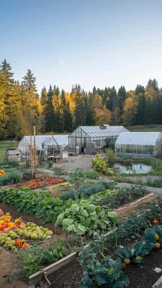 a vegetable garden with lots of vegetables growing in the ground next to trees and buildings