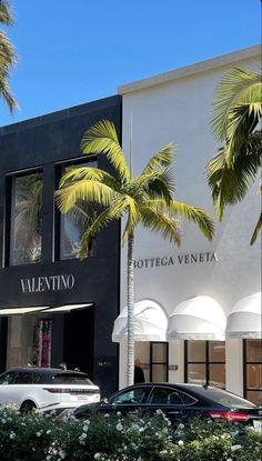 cars parked in front of a building with palm trees on the side and white awnings