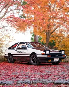 a white car parked on the side of a road in front of trees with fall leaves