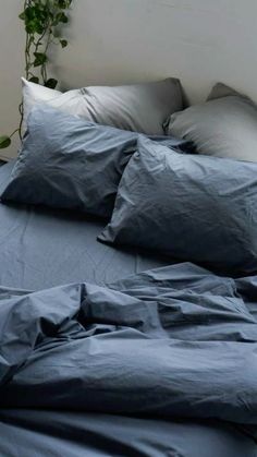 an unmade bed with blue sheets and pillows on top of it, next to a potted plant