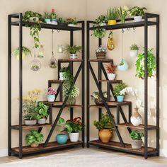 a room divider with potted plants on it