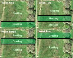 four rows of grass with the names of different areas