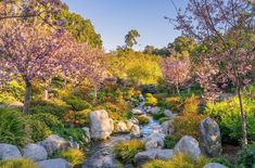 a river running through a lush green forest filled with trees and flowers next to rocks