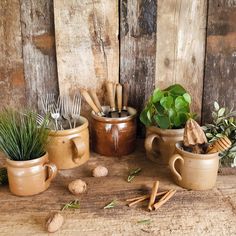 three clay pots filled with plants and cooking utensils sitting on a wooden table