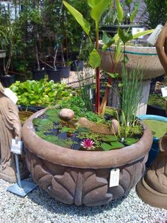 there is a buddha statue sitting in the center of this garden with water and plants