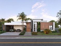 an artist's rendering of a modern house with palm trees in the front yard