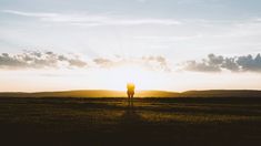 a lone person standing in the middle of a field with the sun setting behind them