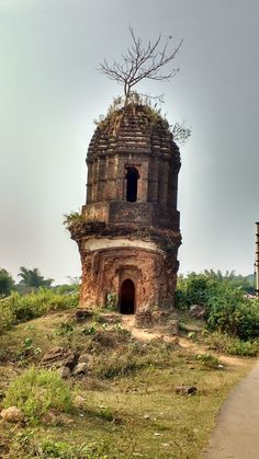 an old tower with a tree growing out of it