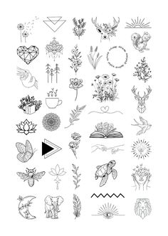 an image of various flowers and plants drawn in ink