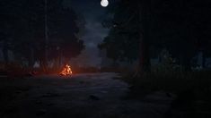 a campfire in the middle of a forest at night