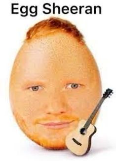 an egg with a guitar on it's head and the words egg sheran