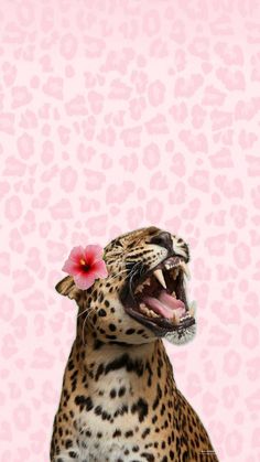 a leopard with its mouth open and a pink flower in it's hair, on a pink background