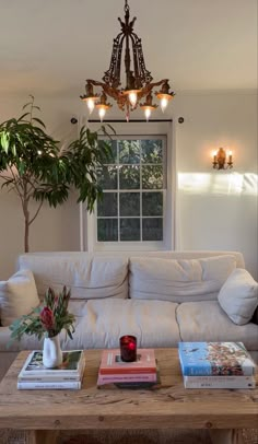 a living room with a couch, coffee table and potted plant in the corner