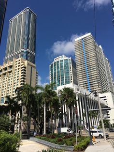 some very tall buildings with palm trees in the foreground