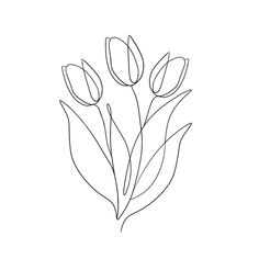 a line drawing of tulips on a white background