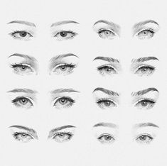 a bunch of different types of eyes and their features are shown in this drawing technique