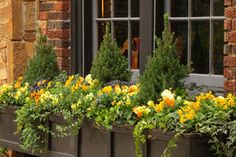 a window box filled with yellow and orange flowers