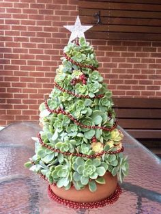 a small christmas tree made out of succulents and beads on a table