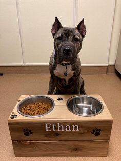 a dog sitting in front of his food bowl with the name ethan on it