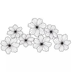 some flowers that are drawn in black and white on a white background with the words, flower