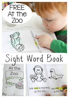 a young boy is working on his zoo themed sight word book with the title free at the zoo