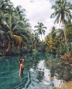 a man and woman are standing in the middle of a river surrounded by palm trees