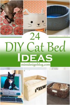 cat bed ideas that are easy to make and great for small cats or kittens