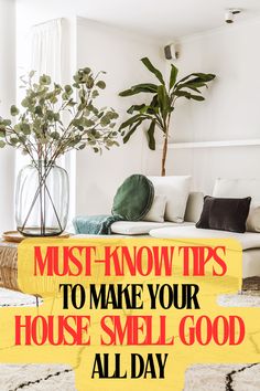 Tips to make your house smell good all day, featuring homemade potpourri and deep cleaning advice. Smell Good House, Smell Hacks For Home, Potpourri Candles, Fragrance Oil Perfume, Make Your Home Smell Good, Home Smell Good, Make Your House Smell Good, Hacks For Home