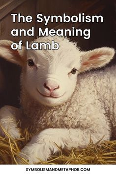 a lamb laying in hay with the words, the symbolism and meaning of lamb